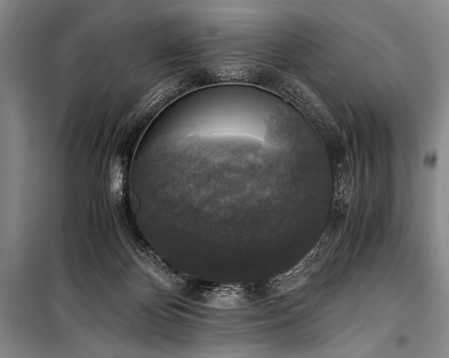 X0000100940124200807011254