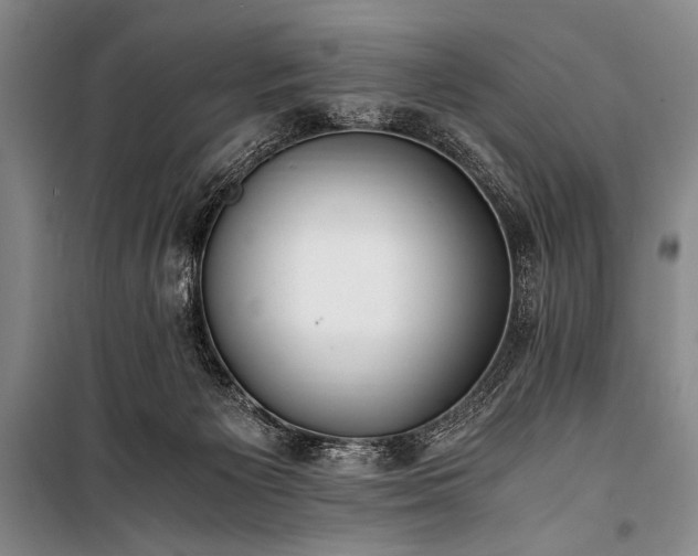 X0000100940125200807011254