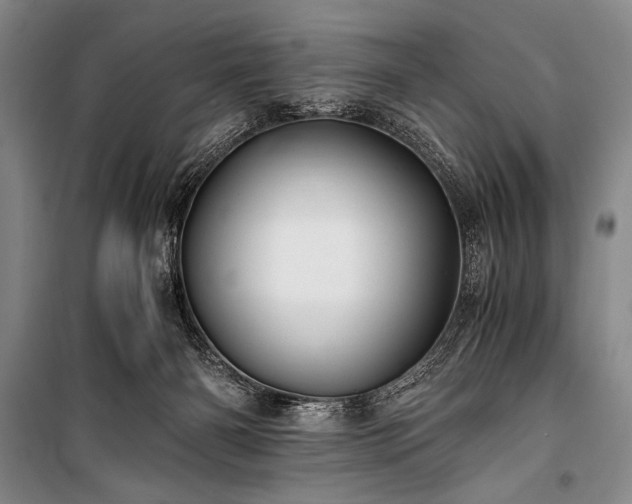 X0000100940126200807011254