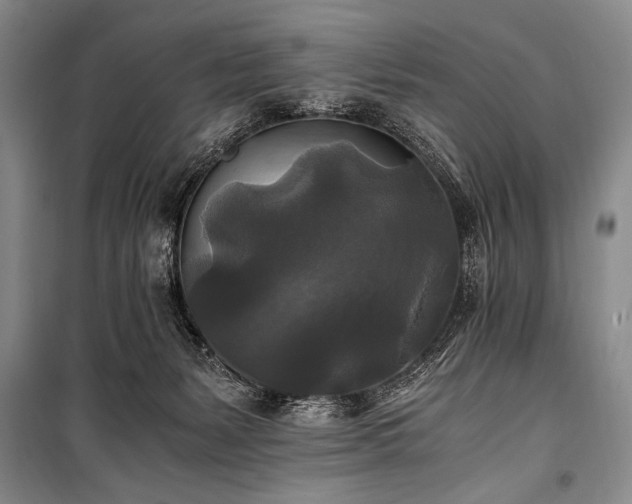 X0000100940127200807011254