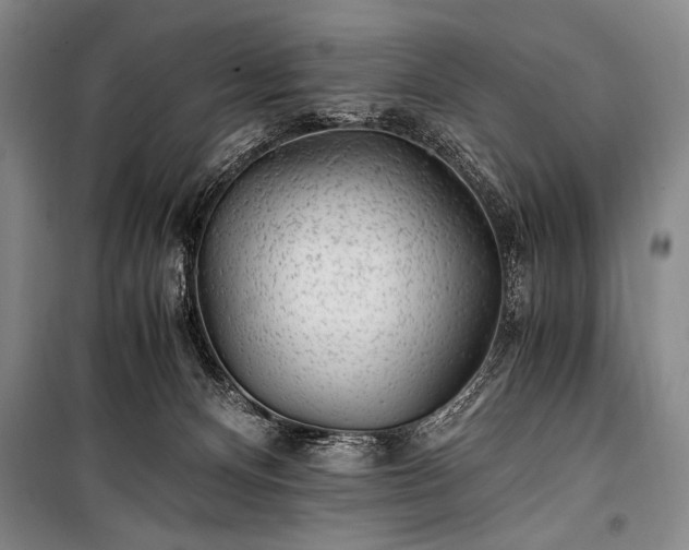 X0000100940128200807011254