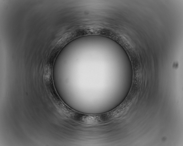 X0000100940129200807011254