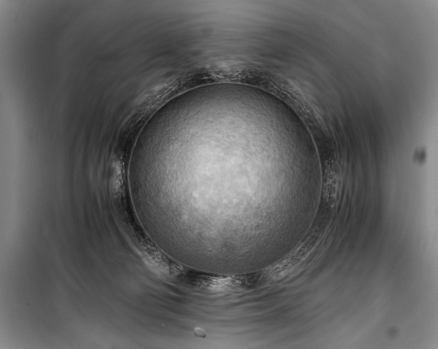 X0000100940130200807011254