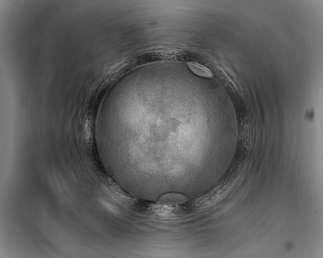 X0000100940131200807011254