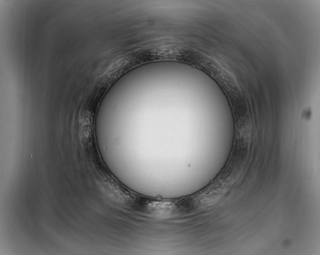 X0000100940133200807011254