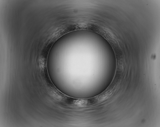 X0000100940135200807011254