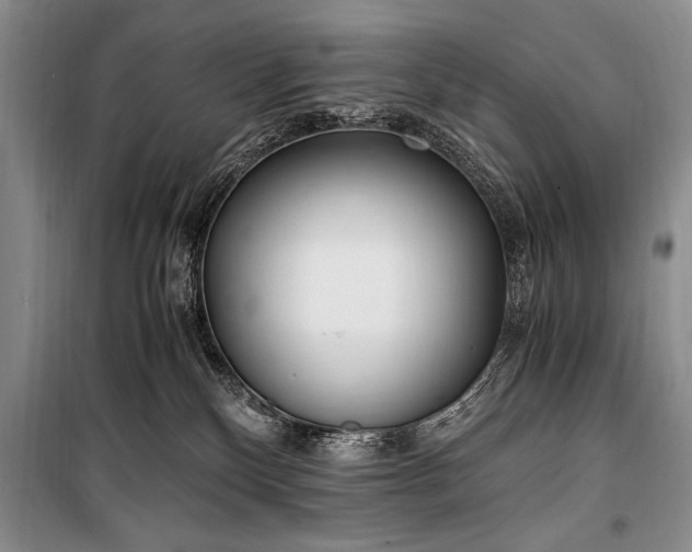 X0000100940136200807011254