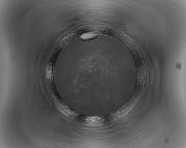 X0000100940137200807011254