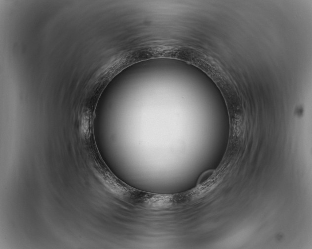 X0000100940138200807011254