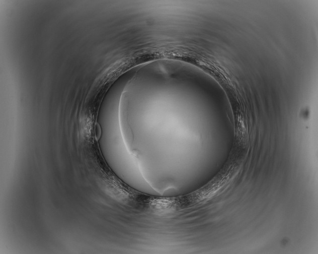 X0000100940139200807011254