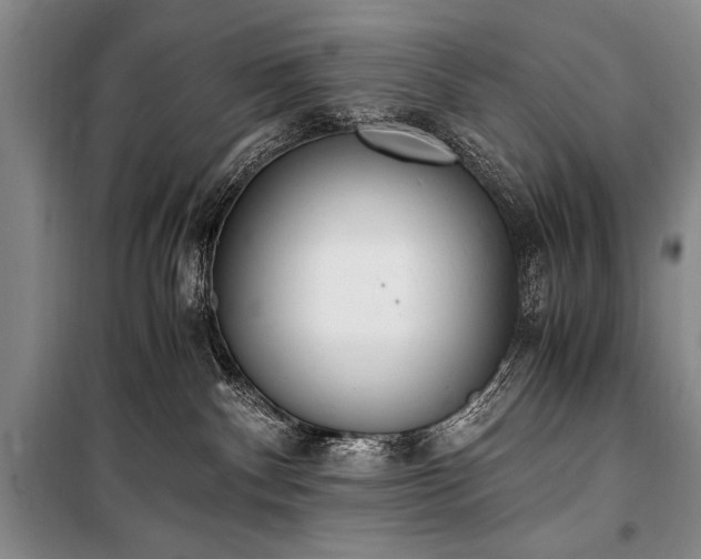 X0000100940140200807011254