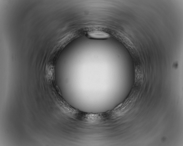 X0000100940141200807011254