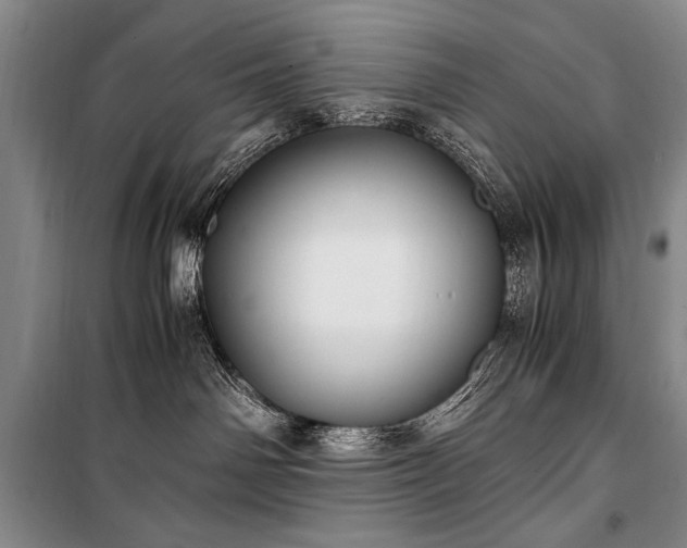 X0000100940142200807011254