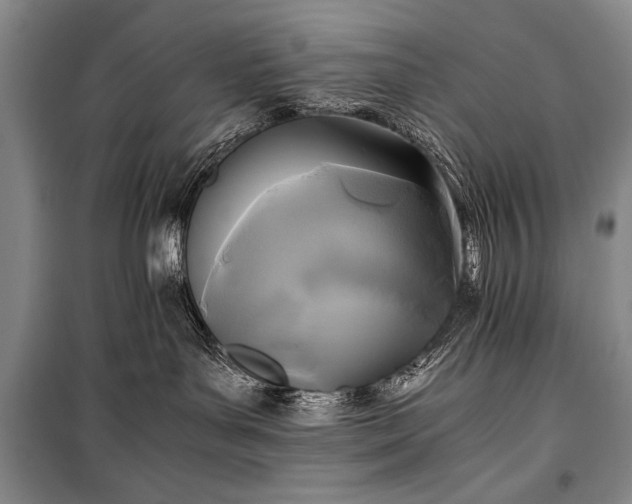 X0000100940143200807011254