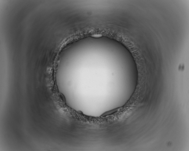 X0000100940144200807011254