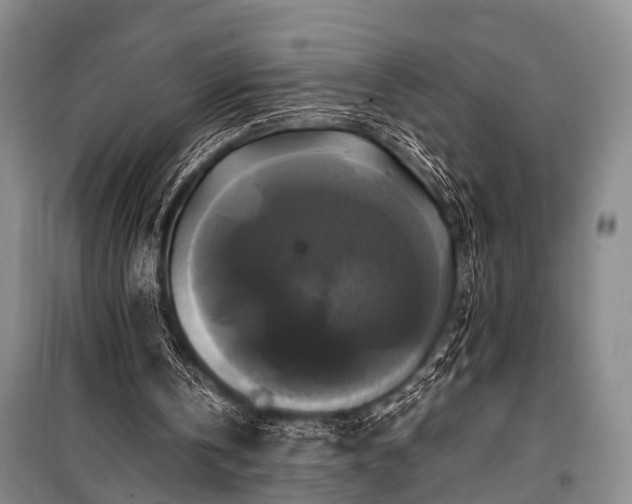 X0000100940146200807011253