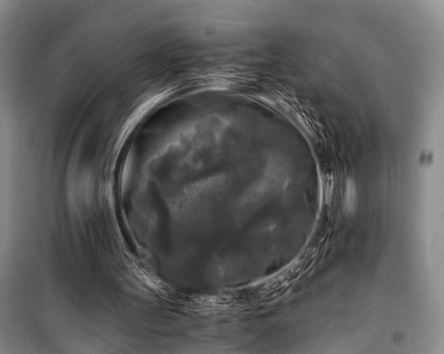 X0000100940147200807011253