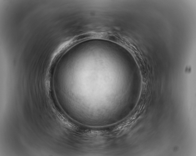 X0000100940149200807011253