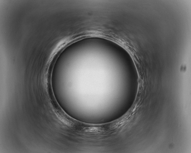 X0000100940151200807011253