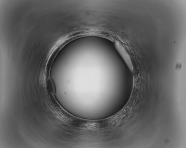 X0000100940152200807011253