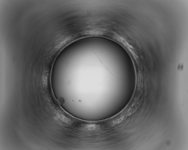 X0000100940153200807011253