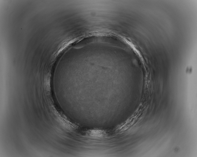 X0000100940154200807011253