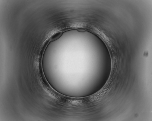 X0000100940155200807011253