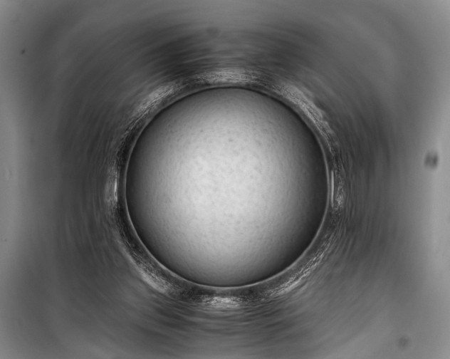 X0000100940157200807011253