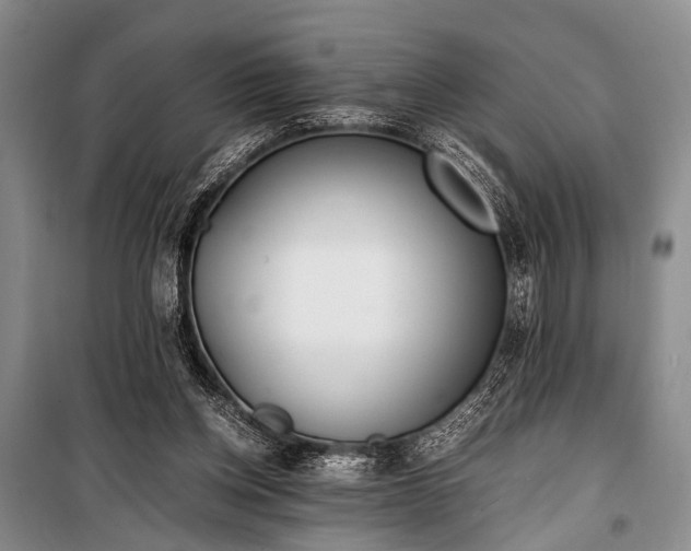 X0000100940158200807011253