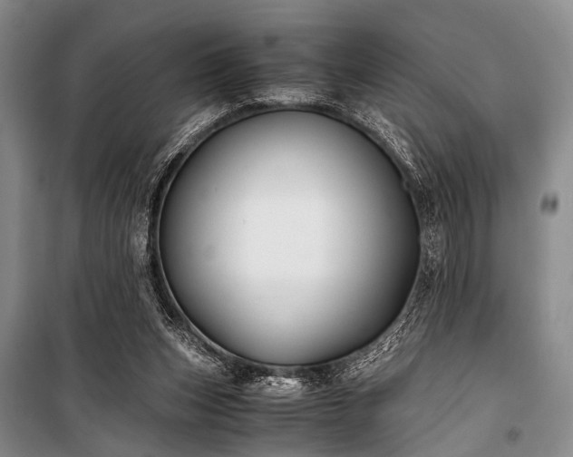 X0000100940159200807011253