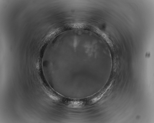 X0000100940161200807011253