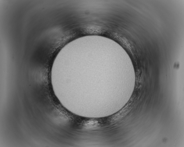 X0000100940162200807011253