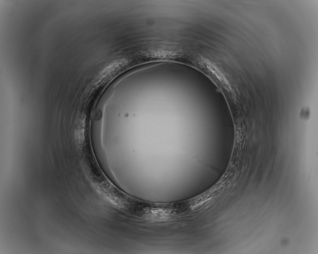 X0000100940163200807011253