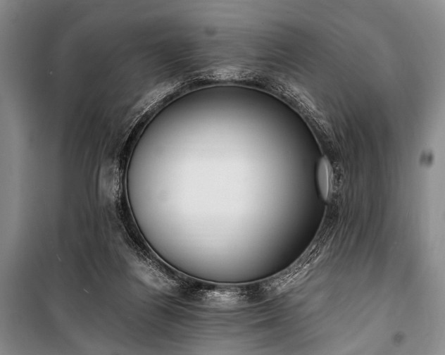 X0000100940164200807011253