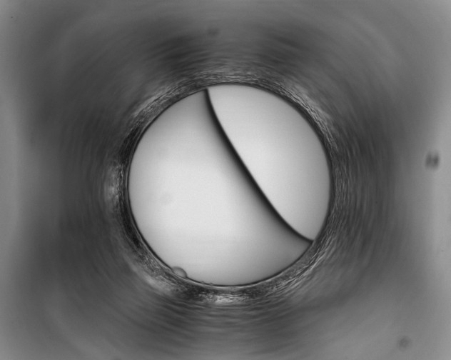 X0000100940165200807011253