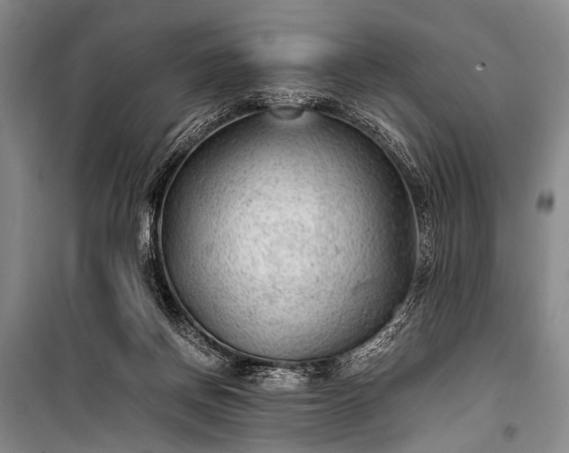 X0000100940166200807011253