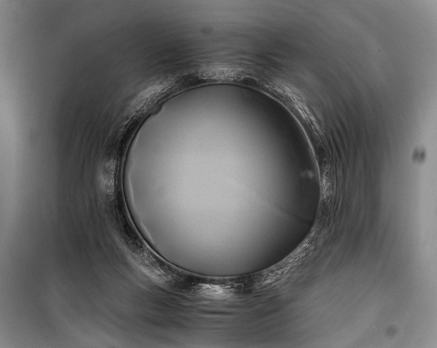 X0000100940167200807011253