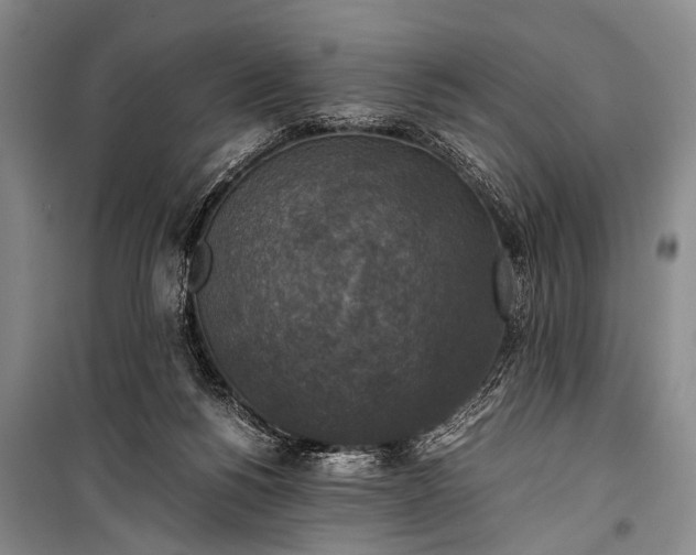 X0000100940168200807011253