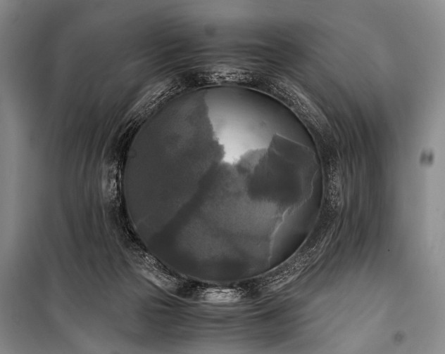 X0000100940169200807011254