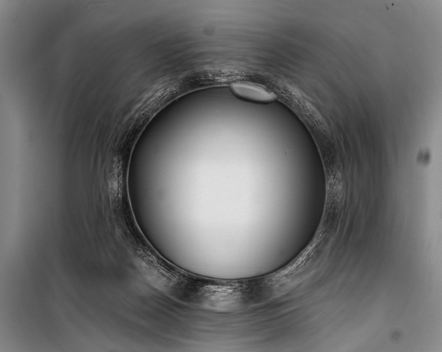 X0000100940170200807011254