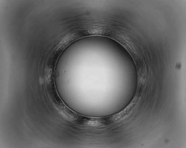 X0000100940171200807011254