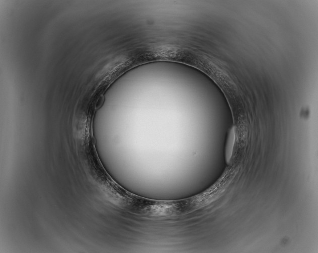 X0000100940172200807011254