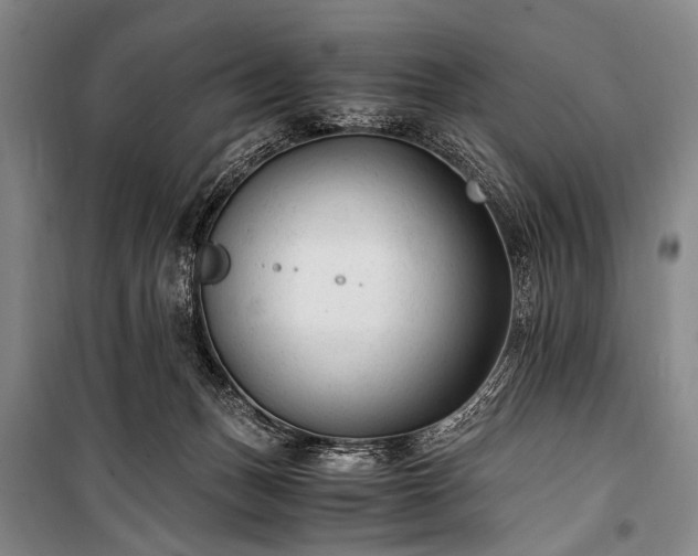 X0000100940175200807011254