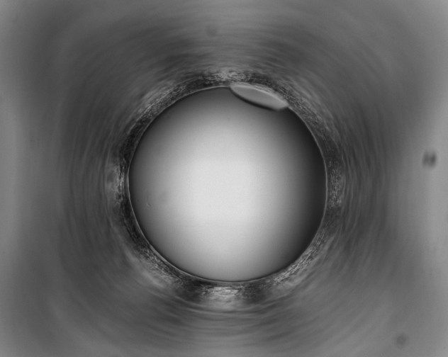 X0000100940176200807011254