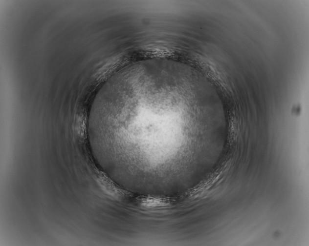 X0000100940177200807011254