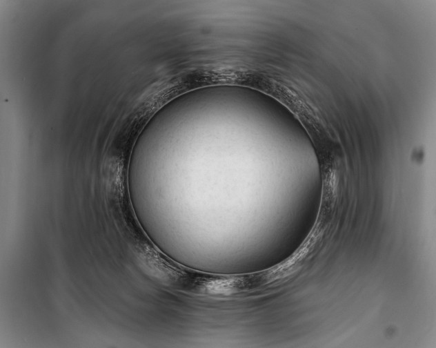 X0000100940178200807011254