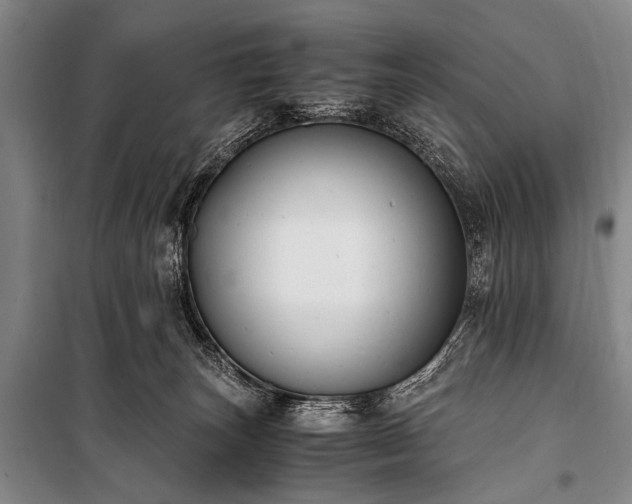 X0000100940179200807011254