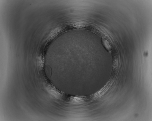 X0000100940180200807011254