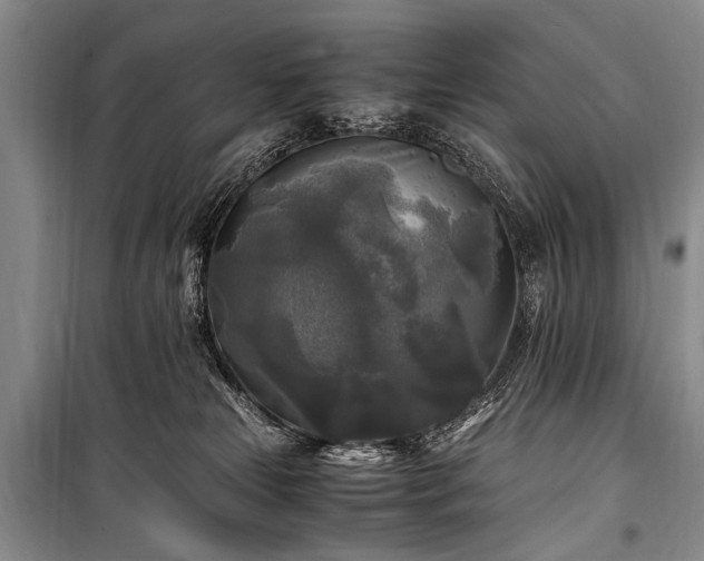 X0000100940181200807011254