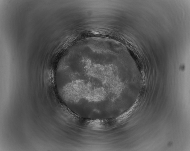 X0000100940182200807011254